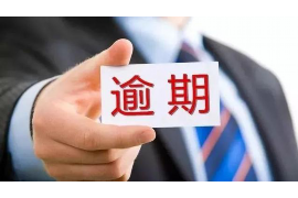 白朗贷款清欠服务